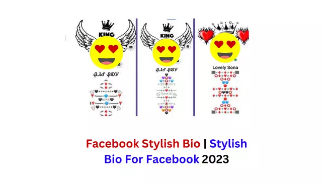 Facebook Stylish Bio | Stylish Bio For Facebook 2023